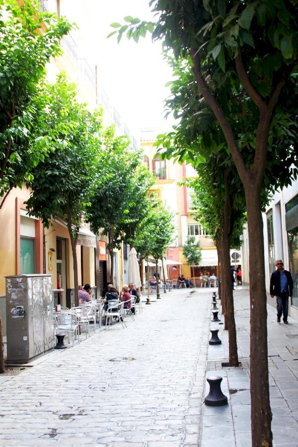 Plaza Nueva Terraza Daire Sevilla Dış mekan fotoğraf